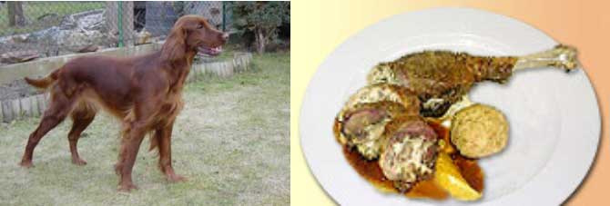 Gastonská sekaná pečínka