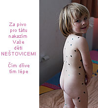 Nestovice