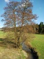 oberpfaltz