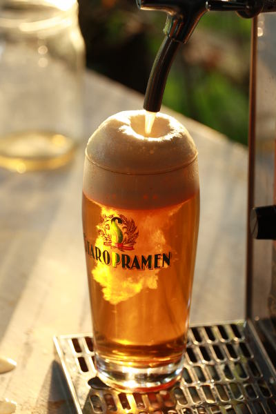pivo