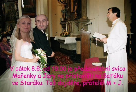 Dulova svica