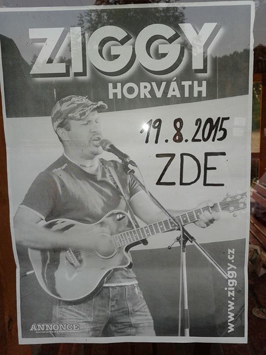 ziggy plakat